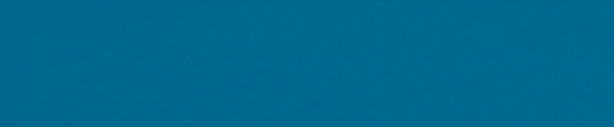 5x20 / 2”x8” Marin Blue Flat Glossy Duvar Karosu