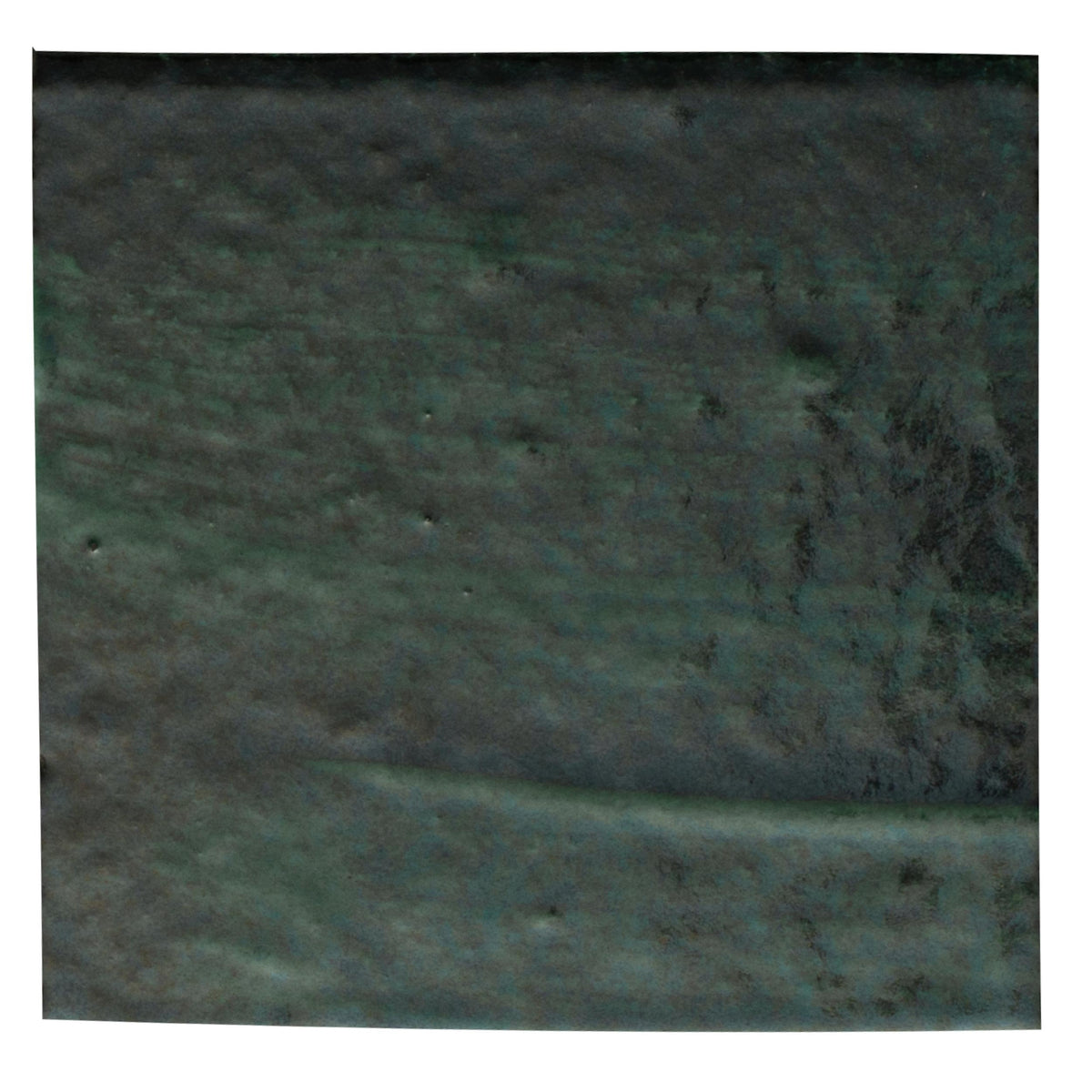 Moss 20x20
